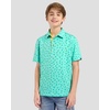 image:imageBoys Polo Shirt Short Sleeve Funny Print Golf Moisture Wicking Collared Casual Athletic Shirts for Youth Performance KidsGreen Dinosaur