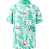 image:imageBoys Polo Shirt Short Sleeve Funny Print Golf Moisture Wicking Collared Casual Athletic Shirts for Youth Performance KidsGreen Flamingo
