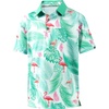 Green Flamingo